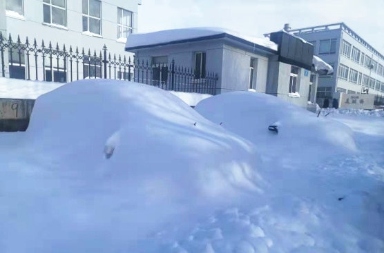 211109 - 暴雪后的欧博ABG工厂门口_副本.jpg