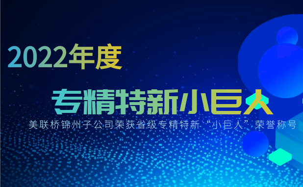 �۽���������չ������Զ�������������߰���������ŷ��ABG�����������޹�˾�ٻ�ʡ��С���ˡ��ƺ�